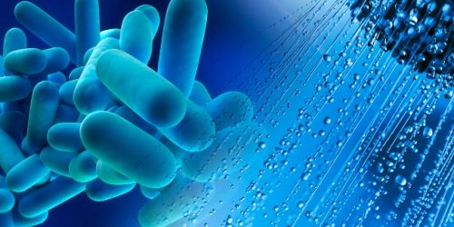 312801419_615505497034523_2317792431305077572_n